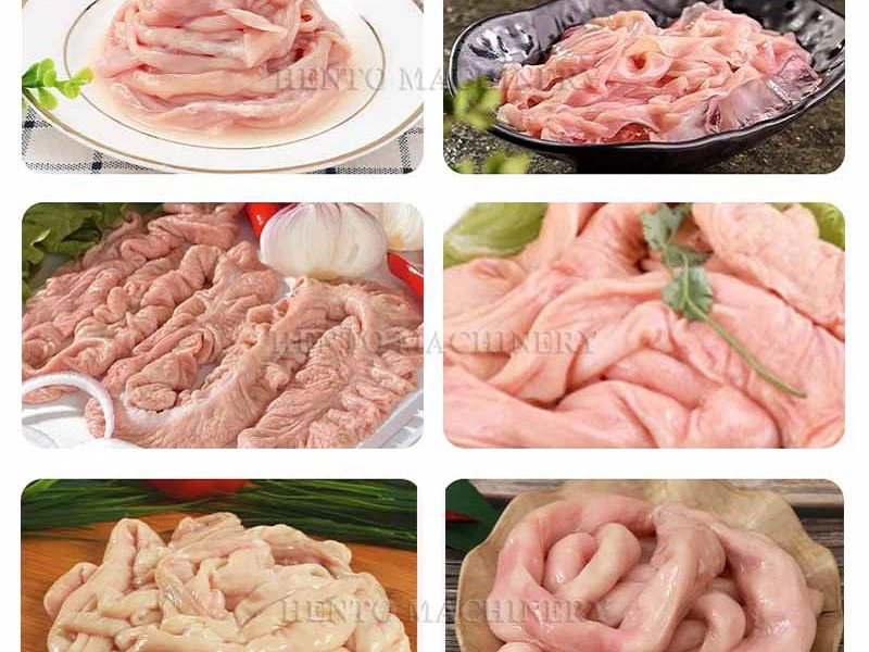 product-800-600 electric chicken intestines cleaning machine(001)