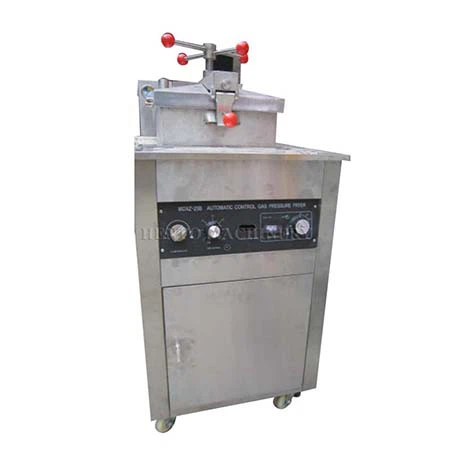 Deep Fat Fryer