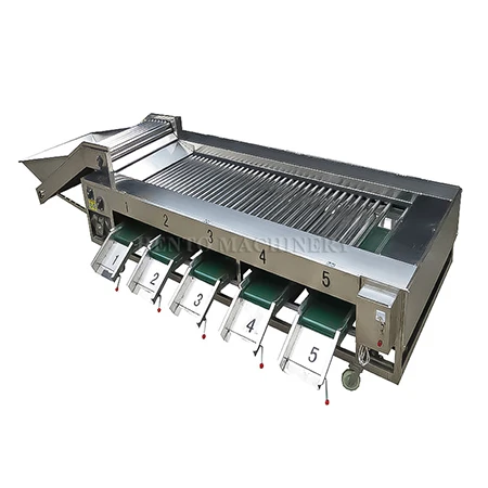 Orange Fruit Sorting Machine