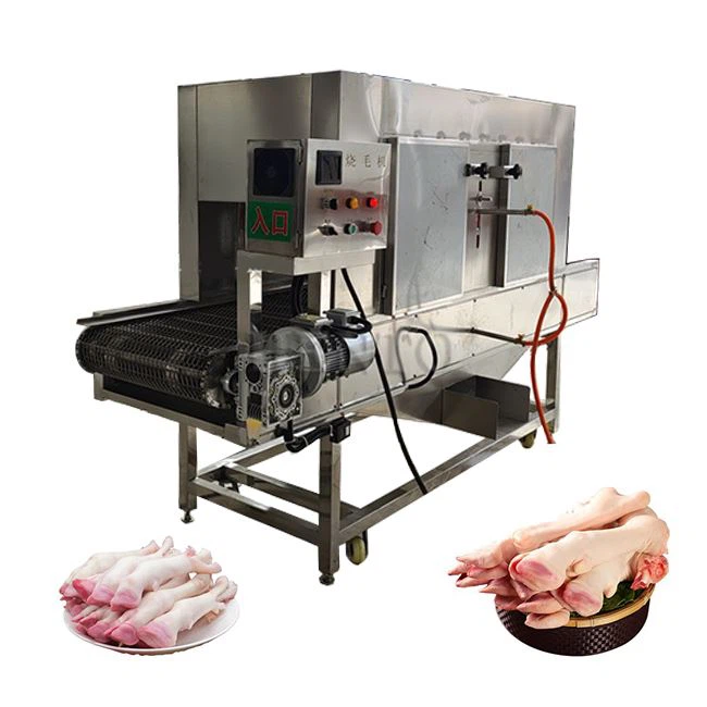 Picioarele de oaie care cântă o mașină neliniștită