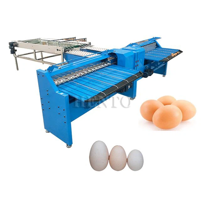 Egg Grading Machine