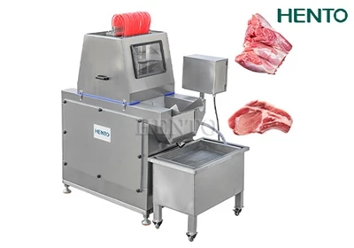 Introducere în injectorul de saramură pentru carne